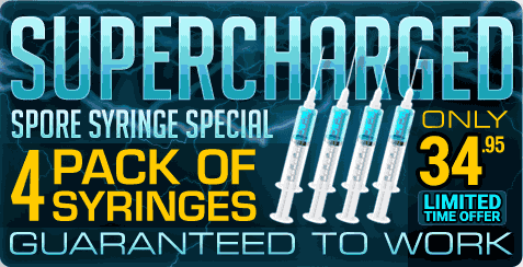 SUPERCHARGED SRINGE DEAL