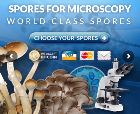 Welcome to the Spore Store. Your source for all premisum spore syringes.