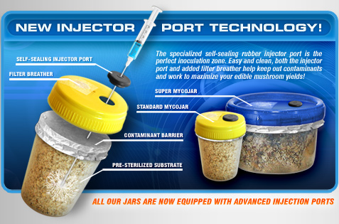 New Injection Port Technology